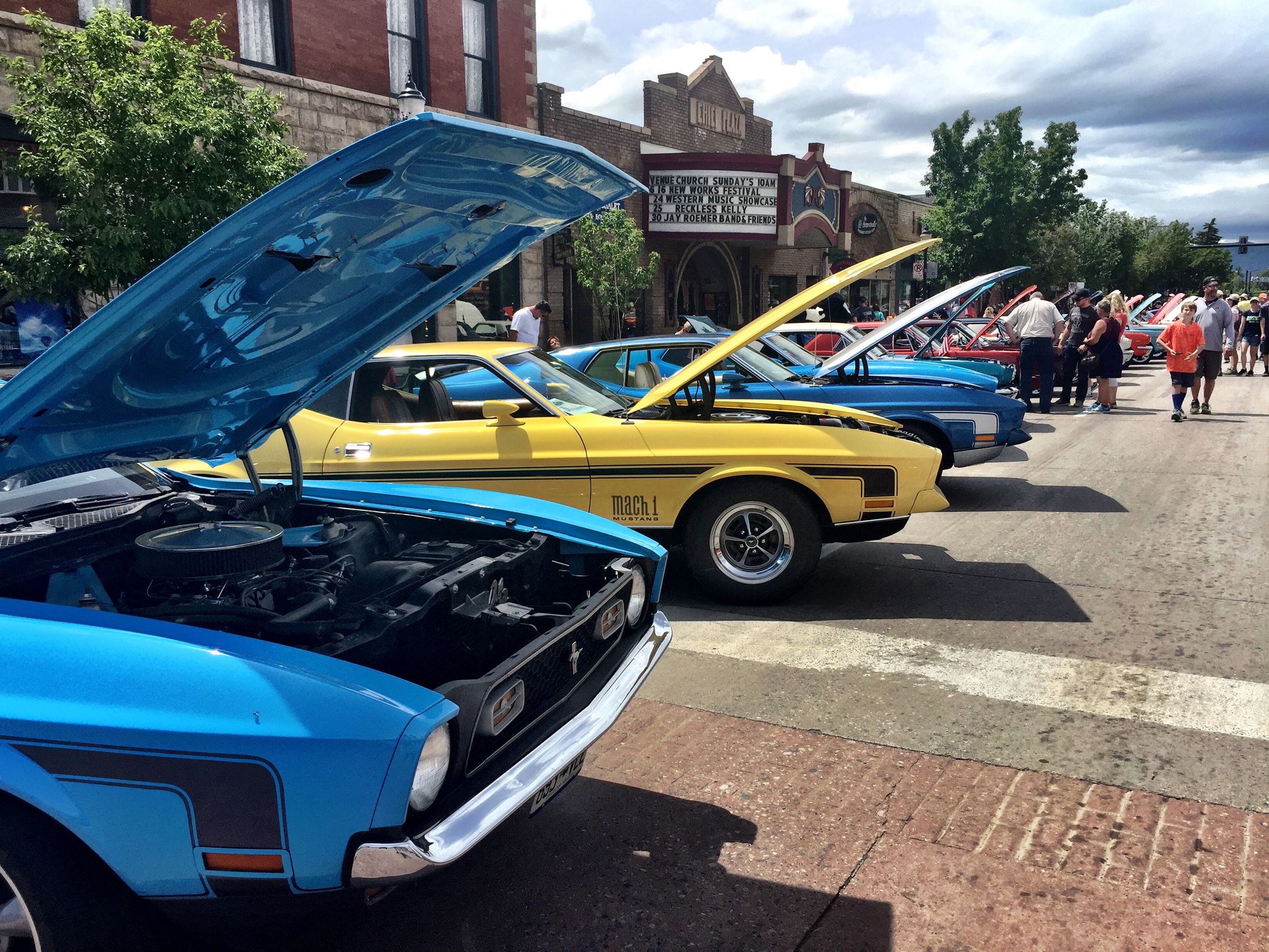 Mustang Round Up