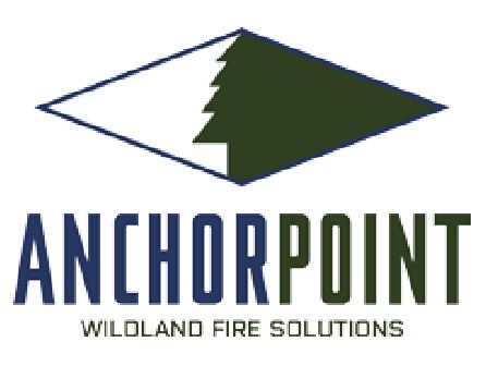 Anchor Point Logo