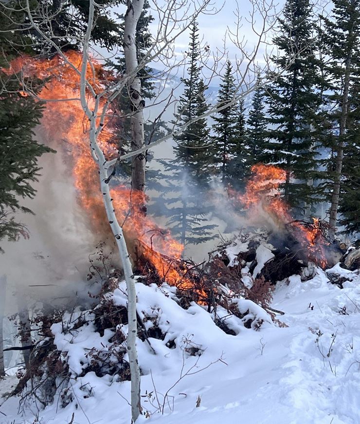Prescribed-Burn-SSFR